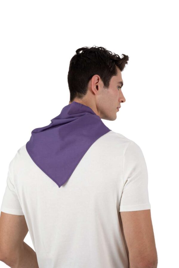 FIESTA - BANDANA