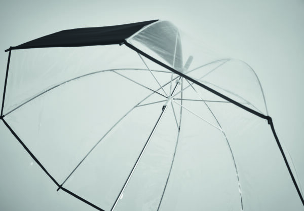 GOTA