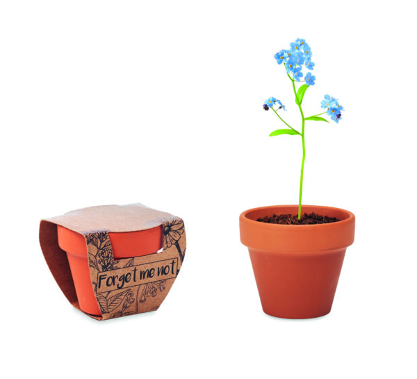 FORGET ME NOT