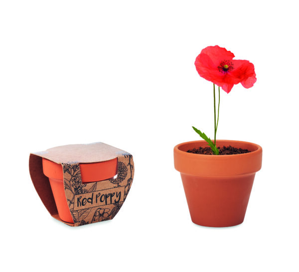 RED POPPY