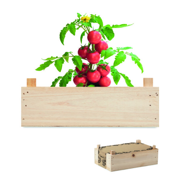 TOMATO