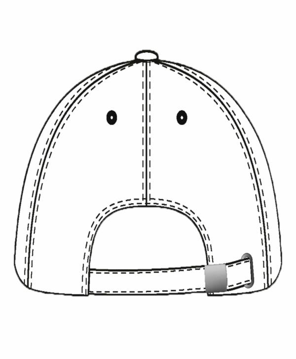 SOL'S BUFFALO - SIX PANEL CAP