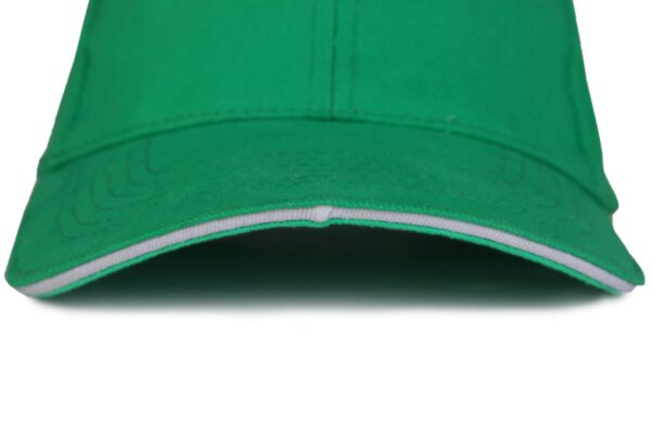 SOL'S BUFFALO - SIX PANEL CAP