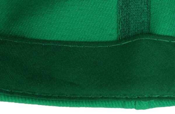 SOL'S BUFFALO - SIX PANEL CAP
