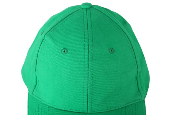 SOL'S BUFFALO - SIX PANEL CAP